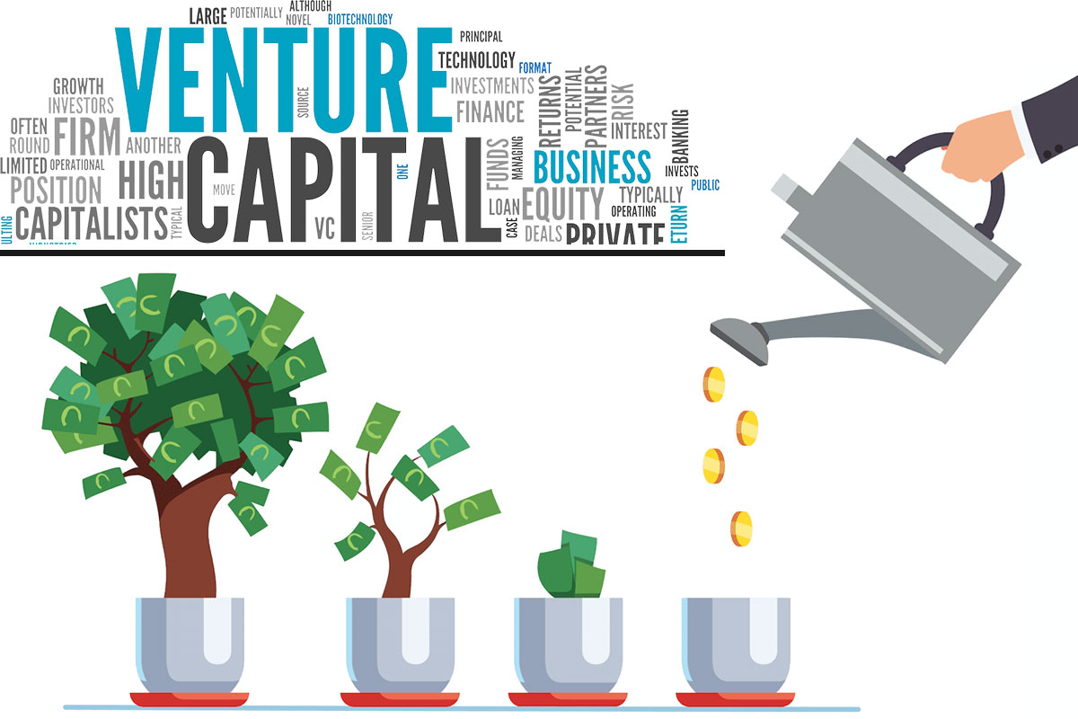 Venture capital ... – what is it about: the essence of a simple example